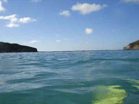 View of snorkeling in Hanauma Bay